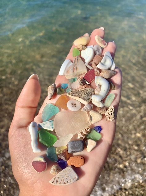 Friendship Questionnaire, Collect Seashells, Cottagecore Beach, Pinecrest Lake, Sea Glass Collection, Collecting Shells, Sea Treasure, Lake Aesthetic, Treasure Beach