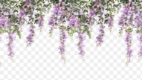 Purple Hanging Flowers, Purple Flower Border, Wisteria Aesthetic, Vine Illustration, Aesthetic Pngs, Border Illustration, Vine Plants, Wisteria Flower, Purple Border