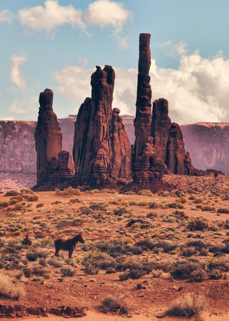 Lone Horse in Monument Valley| Jeff Clow Martina Thornhill, Wilde Westen, Into The West, Desert Dream, Desert Vibes, Biome, Random Thoughts, Rock Formations, Future Travel