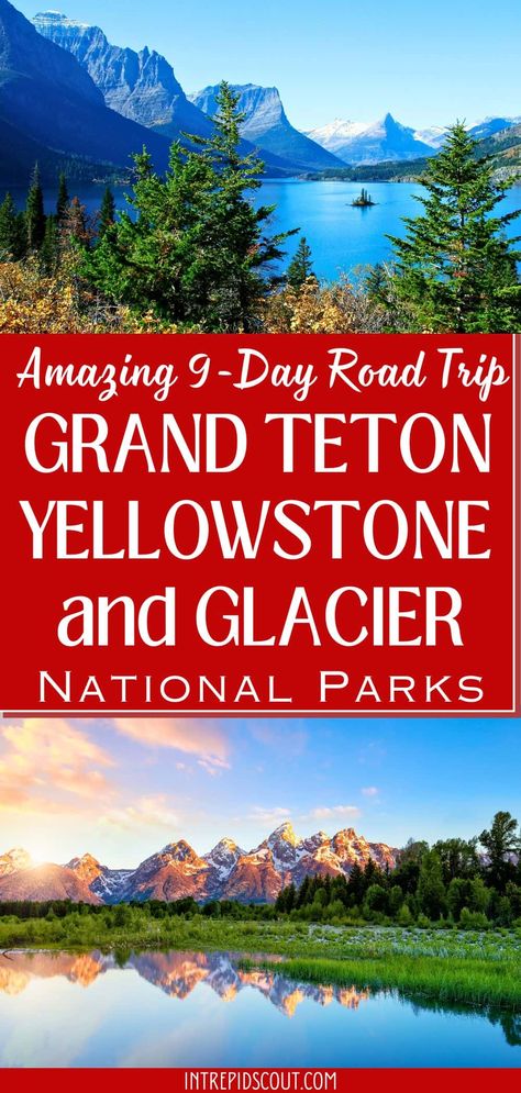 9-Day Grand Teton, Yellowstone, and Glacier Road Trip Yellowstone And Glacier National Park Itinerary, Jackson Hole Yellowstone Itinerary, Yellowstone To Glacier Road Trips, Yellowstone And Glacier Road Trip, Yellowstone Road Trip Itinerary, Yellowstone Trip Planning, Wyoming Montana Road Trip, Yellowstone Vacation Planning, Yellowstone Road Trip