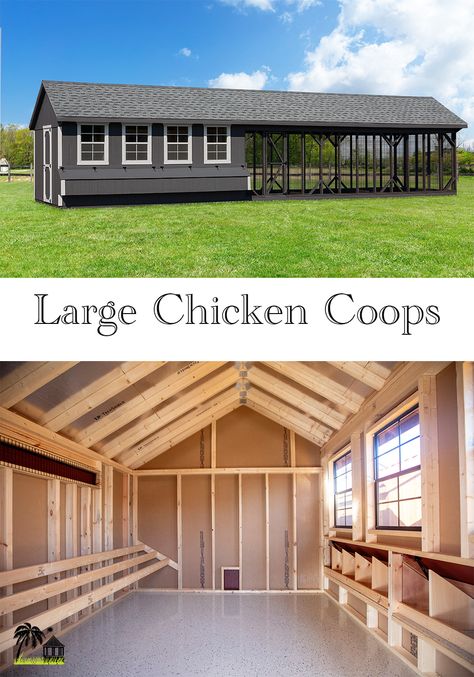 Huge Chicken Coop, Large Chicken Coop Plans, Chicken Coop Building Plans, Chicken Coop Large, Chicken Coop Plans Free, Large Chicken Coop, Chicken Coop Blueprints, Walk In Chicken Coop, Chicken Barn