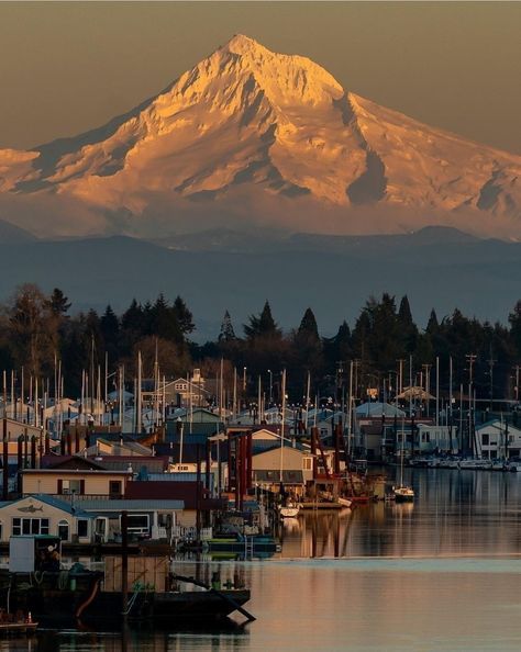 #Seattle Must See - #mounthood 🏔 🗻⛰#Washington, the most beautiful state in the Pacific Northwest. 🌲#pnw #pnwtravel #WashingtonState #emeraldcity #mountains #travel ��🛫 #tourism #travelseattle #mthood #cascademountains #olympicmountains Washington State Seattle, Pnw Christmas, Pnw Travel, Washington Photography, Travel Washington State, Washington Seattle, Washington State Living, Pnw Trip, Washington Coast Aesthetic