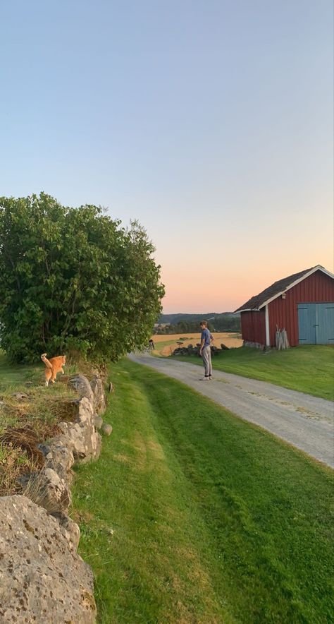 Scandinavian Summer Aesthetic, Debut Taylor Swift, Debut Taylor, Quiet Living, Scandinavian Summer, Summer Aesthetic, Swift, Walking, Road