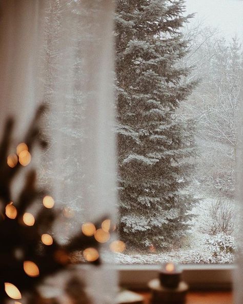 Outside The Window, Dark Christmas, Winter Love, Winter Magic, Winter Wonder, Merry Little Christmas, Christmas Mood, Winter Aesthetic, Decoration Christmas