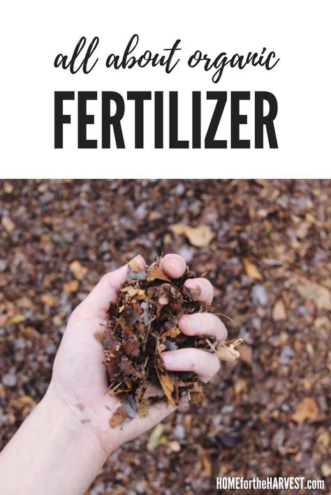 There are SO many different options! We definitely have a few of these organic fertilizer types already in the backyard...we just have some composting to do! #organic #organicfertilizer #organicgardening #DIYfertilizer Diy Plant Fertilizer, Diy Fertilizer, Plant Fertilizer, Types Of Mulch, Organic Pesticide, Weed Barrier, Diy Lawn, Eco Friendly Garden, Organic Mulch