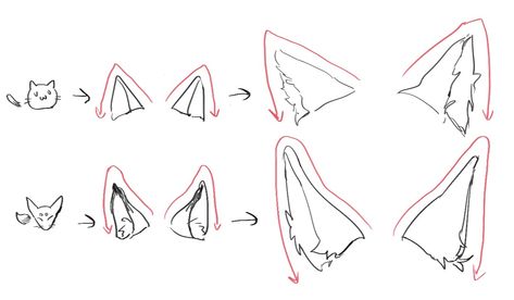 Kitsune Drawing, Kitsune Ears, Ears Drawing, How To Draw Ears, Drawing Examples, Manga Drawing Tutorials, Animation Sketches, Digital Art Beginner, Fox Ears