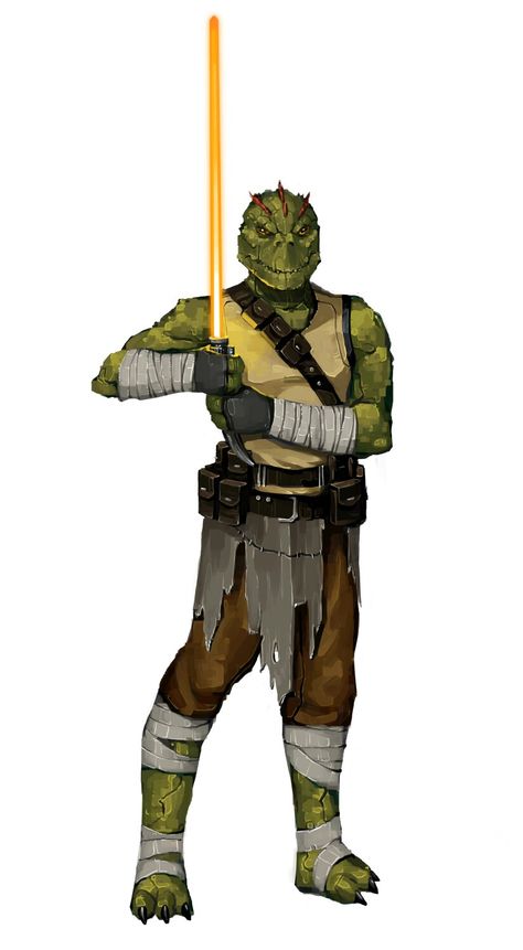 Krook Tuk Will Nunes, Star Wars Legacy, Grey Jedi, Star Wars Species, Fantasy Flight Games, Star Wars Characters Pictures, Jedi Order, Star Wars Concept Art, Star Wars 2