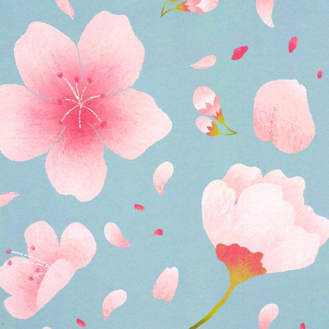 Painted style cherry blossom pattern. Includes flowers, petals and buds. Pink and feminine Cherry Blossom Graphic, Sakura Flower Illustration, Starbucks Ads, Sakura Illustration, Cherry Blossom Illustration, Cherry Illustration, Blossom Illustration, Cherry Blossom Drawing, Sakura Petals