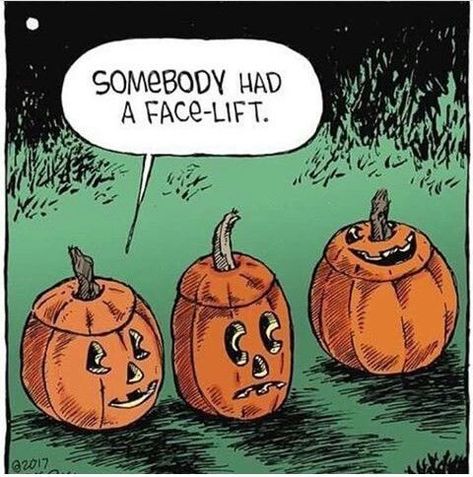 Somebody Has A Face-Lift halloween halloween pictures halloween images halloween quotes funny halloween quotes halloween pics halloween image quotes Funny Halloween Memes, Happy Halloween Quotes, Halloween Humor, Halloween Jokes, Halloween Quotes Funny, Halloween Memes, Speed Bump, Halloween Quotes, Halloween Cartoons