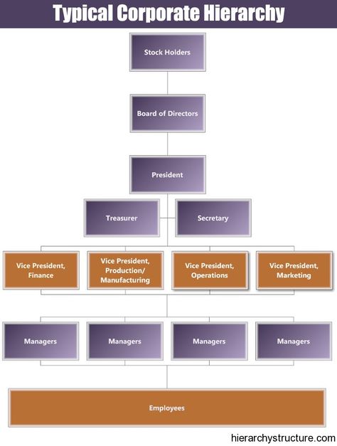 Typical Corporate Hierarchy Company Hierarchy Design, Corporate Hierarchy, Company Hierarchy, Hierarchy Design, Professional Poster, Organization Chart, Organizational Chart, Business Strategies, Organizational Structure