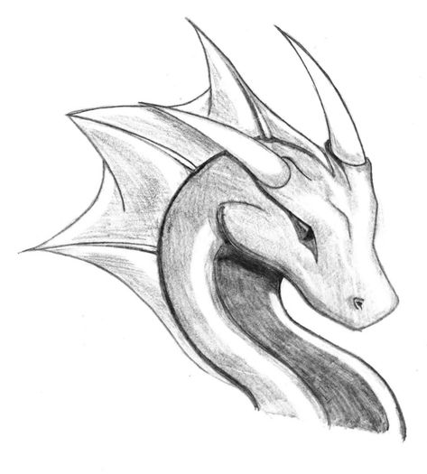 drago-disegni-da-copiare-facili-e-belli-sfumature-chiaro-scuro-matita Dragon Head Drawing, Animal Sketches Easy, Easy Dragon Drawings, Anime Tutorial, Dragon Sketch, Disney Art Drawings, Dragon Pictures, Dragon Head, Dragon Artwork