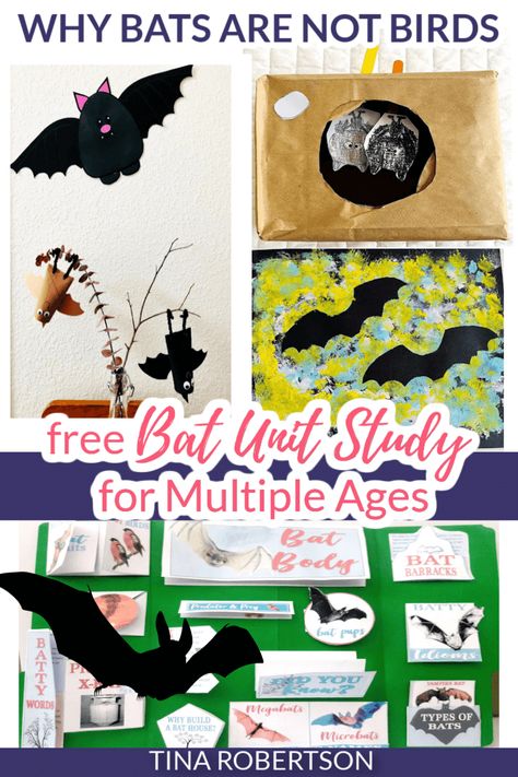 Bats Science Activities, Bat Unit Study Free, Homeschool Bat Unit, Bat Steam Activities, October Unit Study, Bat Unit Kindergarten, Halloween Homeschool Lessons, October Unit Studies, Bat Inquiry Kindergarten