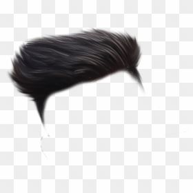 Hair Png Hd Picsart, Hair Photo Editing, Photo Background Editor Png, Gogals For Man New Png, Hear Png Hd, Hair For Editing, Chasma For Men Png, New Png Background, Hair Styles Png