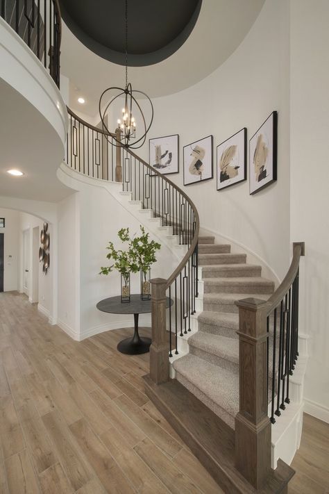 Rounded Staircase Decor, Curves Staircase Ideas, Foyer Ideas Entryway Curved Stairs, Round Staircase Decor, Entry Staircase Ideas Entryway, Entryway Curved Staircase, Staircase In Entryway, Spiral Staircase Entryway, Curved Staircase Remodel