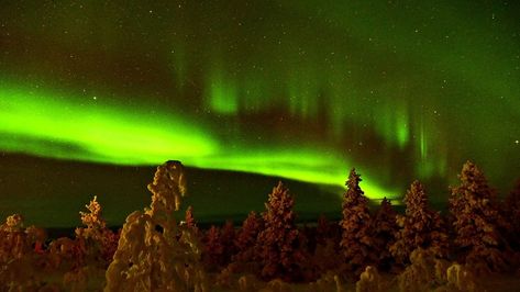 Top 6 Things To Do In Ivalo, Finland - Updated 2023 | Trip101 Ivalo Finland, Gold Museum, Polar Night, Wilderness Camping, Husky Lover, See The Northern Lights, Wild Spirit, Midnight Sun, The Midnight