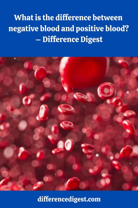 Understanding the difference between negative and positive blood is important not only for medical professionals but also for... Rh Negative Blood Facts, Blood Type B Personality, Blood In Blood Out Quotes, Ab Negative Blood, A Negative Blood, Blood Type Chart, O Positive Blood, Ab Positive, Blood Type Personality