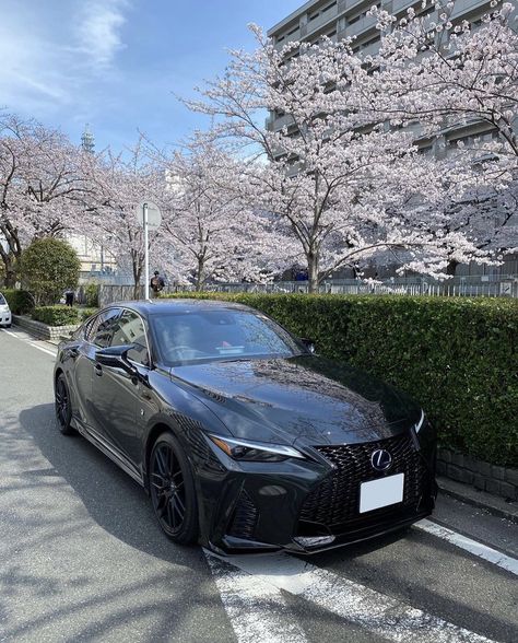 Beautiful IS-F w/ TRD Body Kit! | TRD Parts for Lexus IS F Exterior includes Front spoiler + Aerodynamics mirror cover + Side skirt + Rear diffuser | IG: @luna150919 New Car Aesthetic Lexus, Lexus Is350 F Sport Modified, Lexus Aesthetic, Lexus Is350 F Sport, Lexus Sedan, Dream Cars Lexus, Dream Cars Mercedes, Girly Car Accessories, Lexus Is300