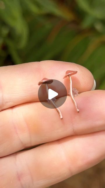 Sandy Lopez on Instagram: "Today's work was my first time making studs earrings and I think they turned out super adorable 🍄
This design is inspired by the long afternoon walks i used to have in the woods foraging for mushrooms when I was still living back in France and Fall being around the corner I just can't deny that I really miss it every year a little bit more. 
I hope you all enjoy this little reel about the process and also the story behind the item.  Those little mushrooms are entirely handmade from upcycled copper and are available to purchase in my Etsy shop along with other beautiful creations @
https://wireandbeyond808.etsy.com/listing/1794670063
 
#mushroomjewelry #copperjewelry #upcycledjewelry #sustainablejewelry #copperwire #cottagecoreaesthetic #handmadearrings #copperea Wire Wrapped Mushroom, Adjustable Wire Wrapped Nature-inspired Jewelry, Mushroom Wire Wrap, Wire Wrapped Mushroom Pendant, Moth Wire Wrap, Mushroom Jewelry, Cottage Core Aesthetic, Sustainable Jewelry, Around The Corner