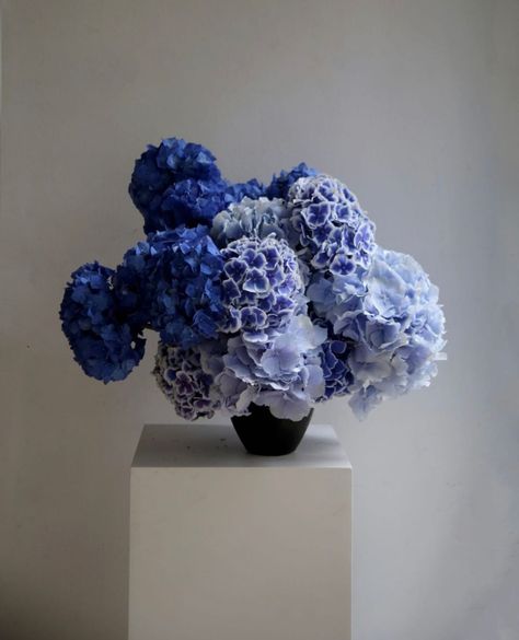 Blue Floral Arrangements, Blue Hortensia, Blue Flower Arrangements, Hydrangea Blue, Hydrangea Arrangements, Blue Florals, Floral Arrangements Wedding, Flower Therapy, Wedding Aesthetic