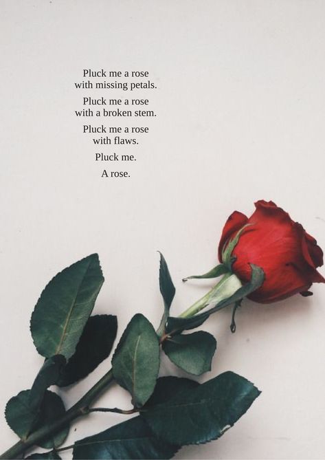 Rose Quotes Poetry, Rose Patels, Poem Background, Someday Quotes, Anatomy Of The Knee, Lovely Poems, Good Energy Quotes, Rose Picture, Beautiful Poems