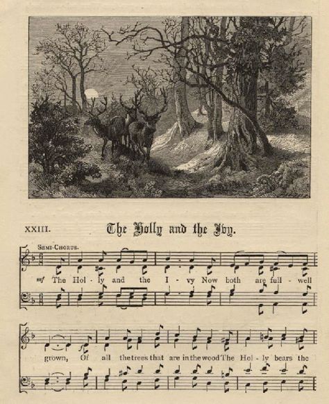 The music from The Holly and the Ivy - why do we use it for decoration? Merry Yule, Holly And The Ivy, Snowy Wonderland, English Christmas, Solfege, Christmas Sheet Music, Christmas Carols, German Christmas, Christmas Greenery