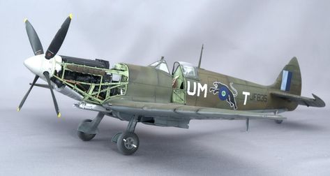 Tamiya 1/32 VIII Spitfire | iModeler Spitfire Model, Companion Gardening, Second Wedding Anniversary, Royal Brides, Aircraft Modeling, Model Ships, Pin Collection, Mustang, Aircraft