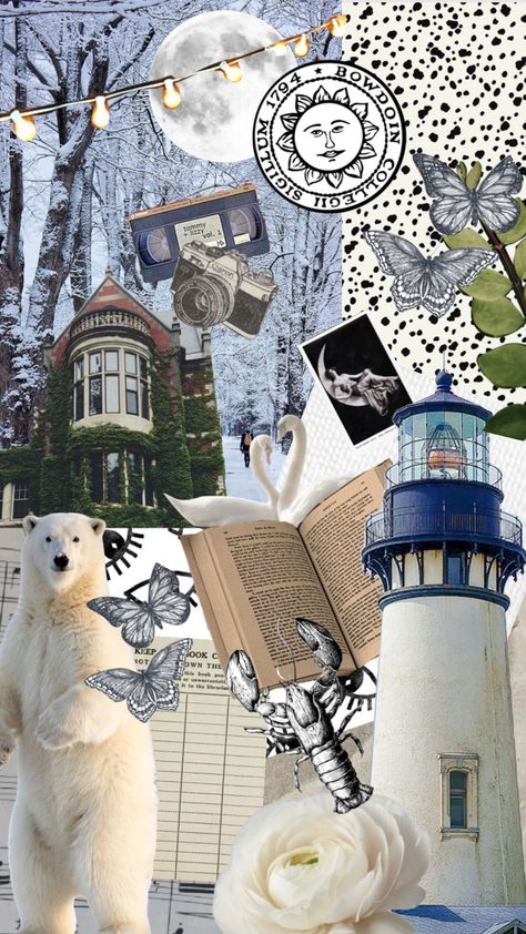 Bowdoin College Aesthetic, Study Moodboard, Maine Aesthetic, Aurora Aesthetic, Goals Board, Bowdoin College, College Wallpaper, Maine In The Fall, Oceans Apart