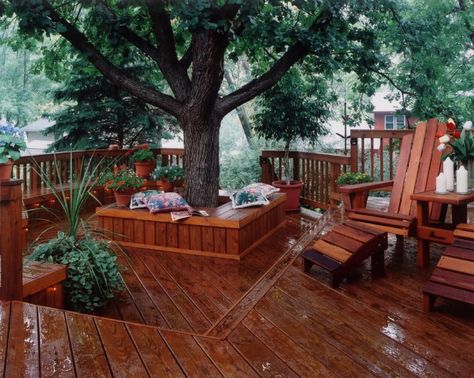 Bench Around The Tree Deck Around Trees, Bench Around Trees, Outdoor Deck Decorating, Tree Seat, Tree Deck, Landscaping Around Trees, Cedar Deck, Floating Deck, Deck Builders