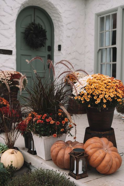 Craftsman Front Porch Fall Decor, French Fall Front Porch Decor Ideas, Antique Fall Porch Decor, Fall Front Porch Flowers, Fall Front Stoop Decor, Southern Fall Front Porch Decor, Fall Porch Plants, Fall Mums Porch Front Steps, Fall Decor Front Porch Entryway