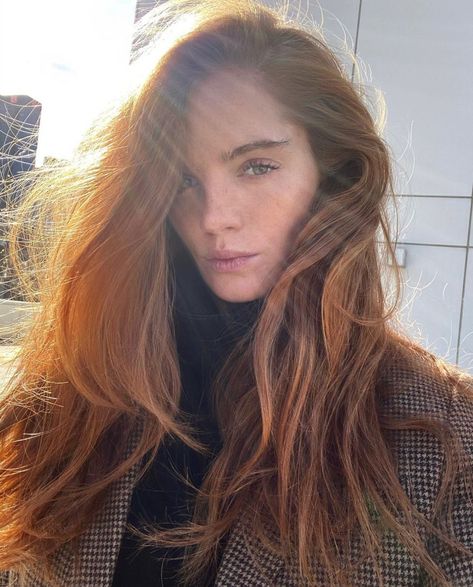 Alexina Graham Hazelnut Hair Color, Hazelnut Hair, Graham Model, Alexina Graham, Hazel Hair Color, Chestnut Hair Color, Hair Color Light Brown, Dark Brown Hair Color, Hair Color Blue