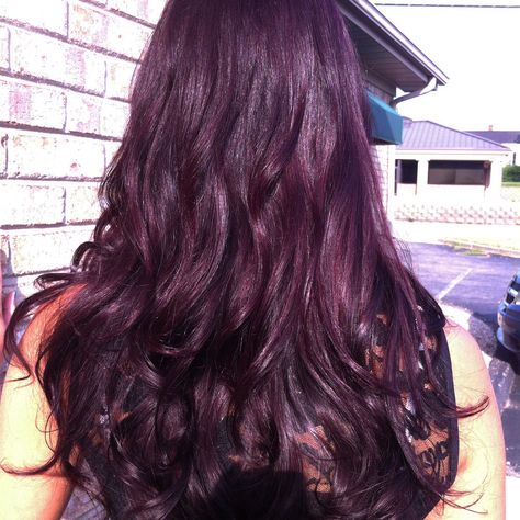 Long violet brown hair  Pravana This is the color I'm going to try and get tomorrow! Violet Brown Hair, Dark Violet Hair, Brown Hair Colour, Purple Brown Hair, Violet Hair Colors, Dark Purple Hair, Violet Brown, Plum Hair, Ash Hair Color