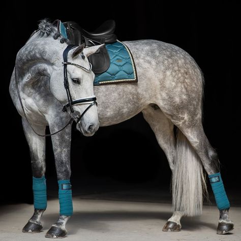 PS of Sweden auf Instagram: „💚“Don’t be afraid to stand out” 💙is the inspiring quote embroidered on this beautiful shimmering green-blue color we call Jade. Let's…“ Grey Horse Tack Colors, Watercolour Horses, Horse Coat Colors, Equestrian Aesthetic, Equestrian Fashion, Horse Dressage, Horse Aesthetic, Watercolor Horse, Grey Horse