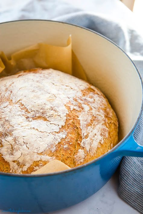 Bread Recipe Dutch Oven, Quick No Knead Bread, Recipe Dutch Oven, No Knead Dutch Oven Bread, Homemade Whole Wheat Bread, Dutch Oven Bread, Knead Bread Recipe, Soft Bread, Tasty Bread Recipe