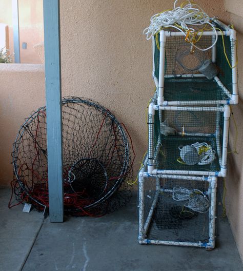 Build your own PVC Crab/Lobster trap Diy Crab, Crawfish Traps, Blue Claw Crab, Crab Net, Fishing Traps, Crab Trap, Lobster Trap, Crab Fishing, Pvc Projects