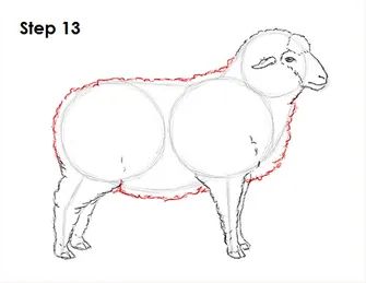 Sheep Drawing Step By Step, Sheep Anatomy Drawing, How To Draw A Lamb, How To Draw A Sheep, Sheep Drawing Illustration, How To Draw Sheep, Sheep Puppet, Draw Sheep, Draw A Sheep