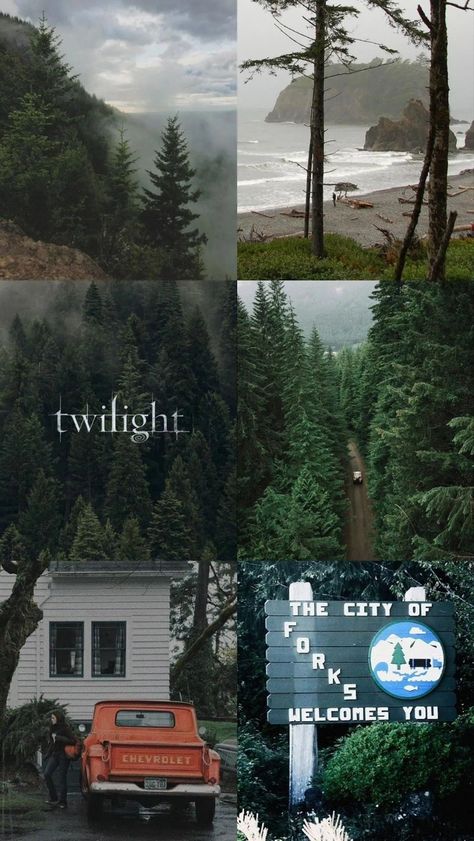 Sweater Weather Aesthetic, Weather Aesthetic, Carlisle Cullen, Team Edward, Forks Washington, Team Jacob, Twilight Movie, Edward Cullen, Bella Swan