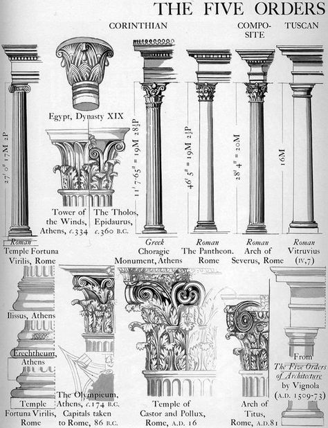 Greek and Roman Types of Columns⚜️🕯 :: Behance History Of Architecture, Imperiul Roman, Architecture Antique, Istoria Artei, Ancient Greek Architecture, Roman Columns, Roman Architecture, Architecture History, European Architecture