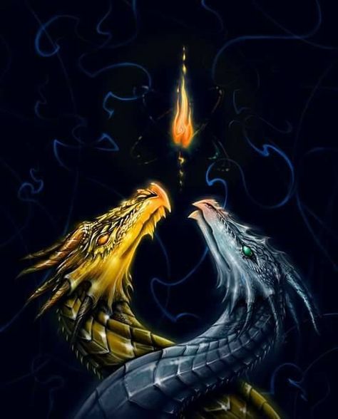 Two dragons Flame Dragon, Dragon Artwork Fantasy, Dragon's Lair, Cool Dragons, Fairy Dragon, Ange Demon, Beautiful Dragon, Mythical Beast, Dragon Pictures