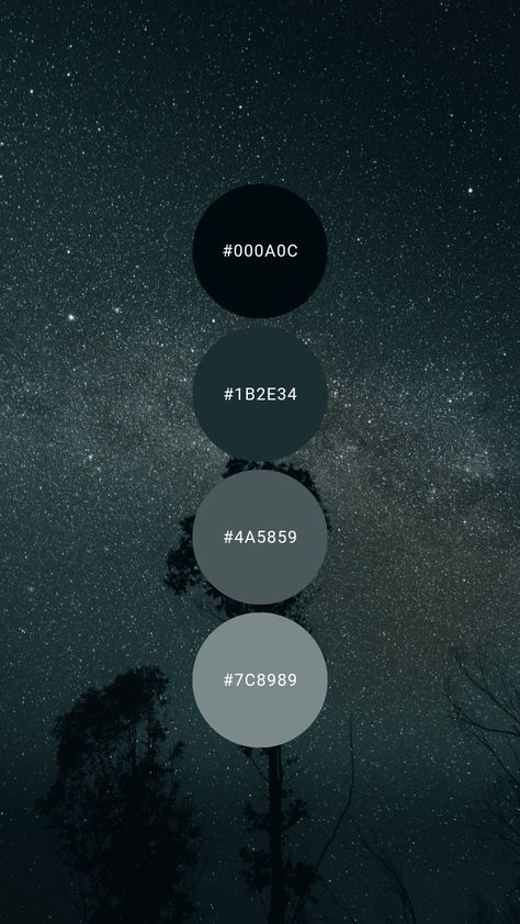 Blue Black Color Pallet, Dark Sky Color Palette, Dark Bedroom Color Palettes, Gaming Room Color Ideas, Gaming Office Design, Cool Dark Color Palette, Outer Space Color Palette, Dark Color Palette Black, Dark Color Combos