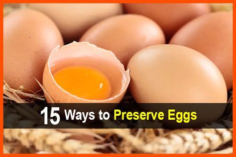 15 Ways to Preserve Eggs Fermented Eggs, Eggs In Air Fryer, Preserve Eggs, Egg Breakfast Recipes, Freeze Eggs, Preserving Eggs, Egg And Potato, Egg Bakes, White Recipes