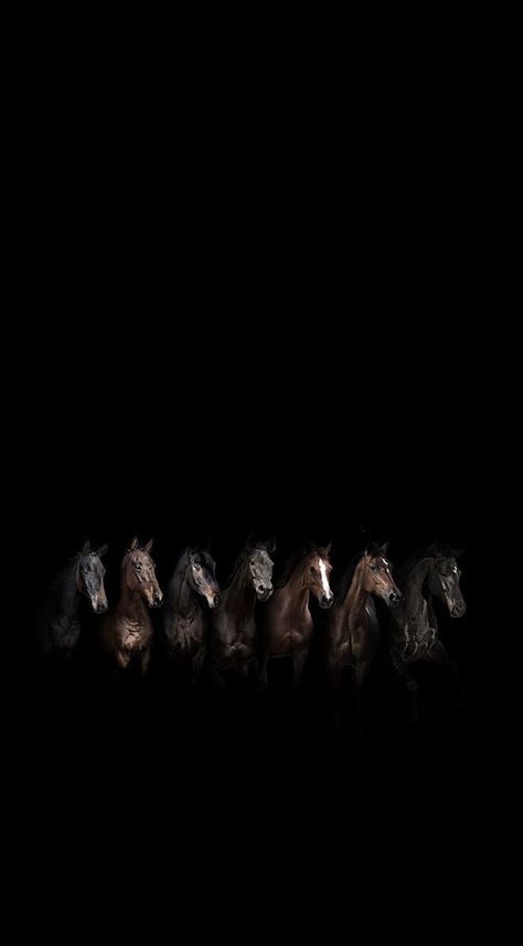 Horses Wallpaper Iphone, Black Horse Wallpaper Iphone, Horse Wallpaper Aesthetic, Horse Wallpaper Iphone, Wallpaper Horse Aesthetic, Wallpaper Horse, Aesthetic Horse, Horse Background, Horse Running