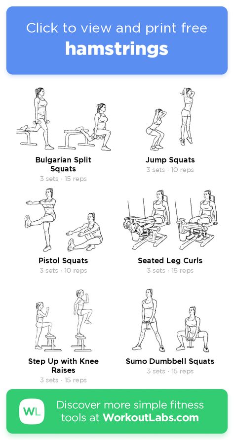 Leg Workout Hamstring, Hamstring Workout Gym, Glutes And Hamstrings Workout, Hamstrings Workout, Workoutlabs Fit, Leg Curl Machine, Seated Leg Curl, Push Pull Legs, Workout Gym Routine