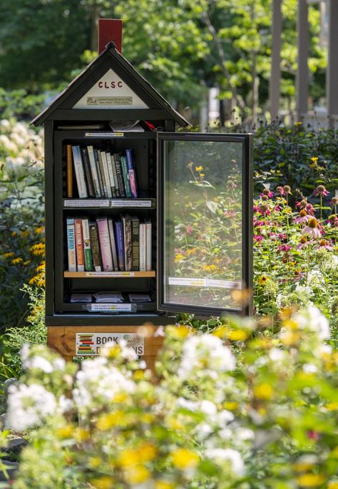 Little Free Library Plans, Small Front Yards, Feng Shui Garden, Tiny Library, Street Library, Library Plan, Mouse A Cookie, Lending Library, Mini Library