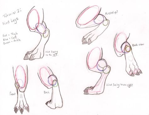 Dragon Legs Drawing Reference, Dragon Leg Drawing, 6 Legged Dragon, Dragon Legs Reference, Hind Legs Reference, Anthro Legs Drawing Reference, Dragon Paws, Legs Tutorial, Dinosaur Sketch