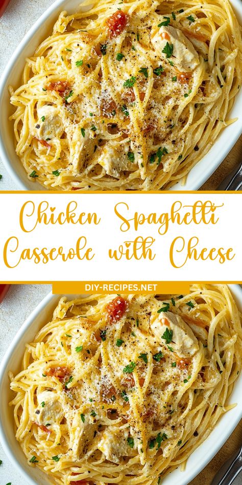 This chicken spaghetti casserole is loaded with sharp cheddar cheese, tender chicken, and creamy soup for the ultimate comfort food! Simple Chicken Spaghetti Recipe, Stove Top Chicken Spaghetti, Oven Chicken Spaghetti, Chicken Spaghetti Casserole Easy, Shredded Chicken Recipes Casserole, Chicken Parm Spaghetti, Ground Chicken Spaghetti, Creamy Chicken Spaghetti Recipe, Best Chicken Spaghetti Recipe