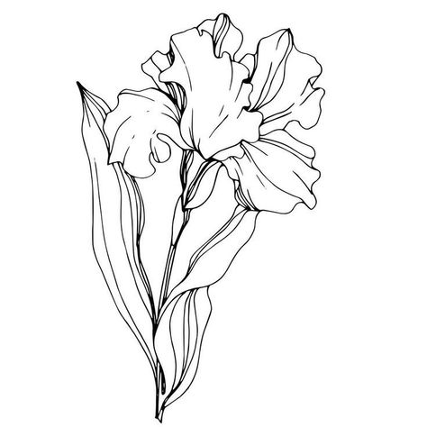 Iris Flower Tattoo, Fleurs Art Nouveau, Flor Tattoo, Unique Wrist Tattoos, Wrist Tattoo Designs, Flower Mural, Flower Line Drawings, Art Painting Tools, Horse Coloring Pages