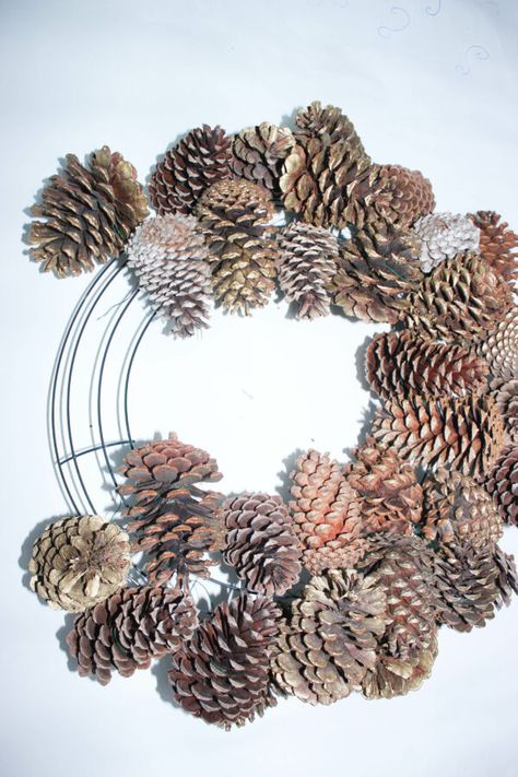 How To Make Pine Cone Wreaths, Painting Pine Cones For A Wreath, Pinecone Ideas Decor, Christmas Wreath Pine Cones, Diy Pinecone Wreath How To Make, Fall Pine Cone Wreath, Pine Cones Decor, Christmas Pinecone Wreaths Diy, How To Make A Pine Cone Wreath