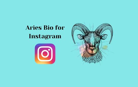 Pronouns Instagram Bio, Instagram Bio Ideas For Aries, Aries Username Ideas, Aries Birthday Captions, Pronouns For Instagram Bio, Aries Description, Bio For Instagram, Insta Bio, Quotes For Instagram