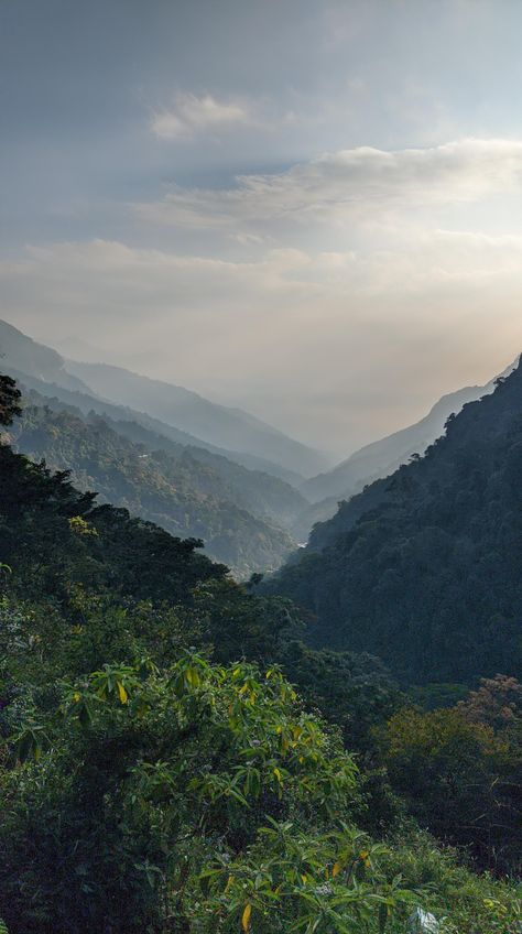 Niligiri Hills Ooty India [21363822] [OC] Nature Hills Wallpaper, Ooty Hill Station Wallpaper, Indian Forest Photography, Beautiful Places In India Nature, Ooty India Aesthetic, Ooty Hill Station Aesthetic, Indian Nature Photography, Ooty Hill Station Photography, Ooty India Photography