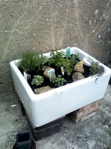 Belfast Sink Planter, Belfast Sink Garden Planter, Belfast Sink Garden, Butlers Sink, Belfast Murals, Garden Bathtub, Garden Sink, Living Garden, Herbs Garden